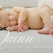 "elegant name" - Birth Announcements in Owlet by Jackie Crawford - Detail