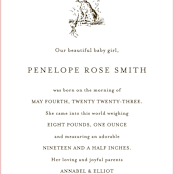 "Classic Bunny" - Birth Announcements in Blush by Megan Davis - Close-Up