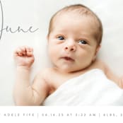 "Chic Introduction" - Birth Announcements in Storm by Olivia Raufman - Detail