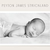 "Classical" - Birth Announcements in Cream by Hooray Creative - Detail