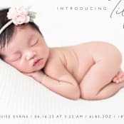 "Nickname Intro" - Birth Announcements in Raven by Olivia Raufman - Detail