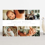 "Welcome Home" - Birth Announcements in Sage by Hudson meet Rose - Front