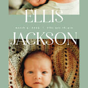 "Double Time" - Birth Announcements in Aloe by Pixel and Hank - Detail