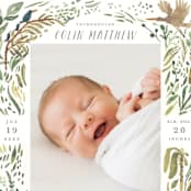 "Jungle Friends" - Birth Announcements in Jungle by Morgan Ramberg - Close-Up