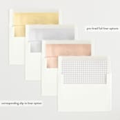 "Frosted Frame" - Birth Announcements in Sugar by Jessica Williams - Envelope Liner Options
