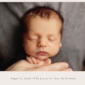 "Laurel Crest" - Birth Announcements in Muslin by Jessica Williams - Detail