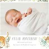 "Jungle Friends" - Birth Announcements in Jungle by Morgan Ramberg - Detail