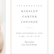 "Name Plate" - Birth Announcements in Melon by Stacey Meacham - Detail