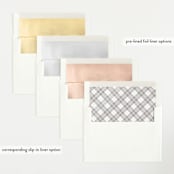 "Little Introduction" - Birth Announcements in Stone by Pixel and Hank - Envelope Liner Options