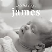 "Introduction" - Birth Announcements in Cloud by Sara Hicks Malone - Close-Up