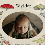 "Woodland wonder" - Birth Announcements in Lichen by Bonnie Davis - Detail