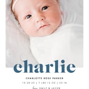 "Bold Nickname" - Birth Announcements in Bluebird by Shirley Lin Schneider - Detail