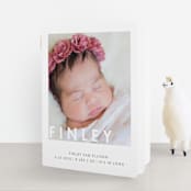 "Simply Baby" - Birth Announcement Booklette™ Cards in Marshmallow by Susan Brown - Front