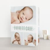 "brushed gallery" - Birth Announcement Booklette™ Cards in Mint by Susan Asbill - Front