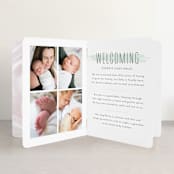 "brushed gallery" - Birth Announcement Booklette™ Cards in Mint by Susan Asbill - Interior Option - 1
