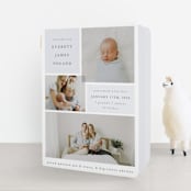 "Love Multiplies" - Birth Announcement Booklette™ Cards in Dusty Blue by Julie Murray - Front