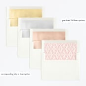 "Princess Carriage" - Children's Birthday Party Invitations in Ballerian Pink by Paper Sun Studio - Envelope Liner Options