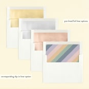 "Over the Rainbow" - Children's Birthday Party Invitations in Sherbet by Leah Bisch - Envelope Liner Options