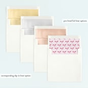 "Let's Dance!" - Children's Birthday Party Invitations in Ballet Slipper by Laura Mock - Envelope Liner Options