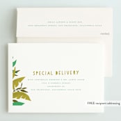 "Jungle View" - Children's Birthday Party Invitations in Jungle by Grace Kreinbrink - FREE Recipient Addressing