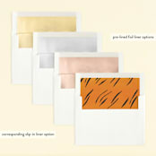 "Zoo" - Children's Birthday Party Invitations in Tiger by Kelly Nasuta - Envelope Liner Options