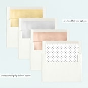 "Party Together" - Children's Birthday Party Invitations in Mist by Jennifer Postorino - Envelope Liner Options