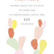 "First Fiesta" - Children's Birthday Party Invitations in Multi Bright by Julie Murray - Detail