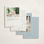 "Vintage goose" - Children's Birthday Party Invitations in Sky by Creo Study - Back of Card Options