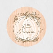 "Little Pumpkin" - Children's Birthday Party Stickers in Peach by Paper Sun Studio - In Use