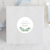"Botanically" - Children's Birthday Party Stickers in Mint by Everett Paper Goods - Front