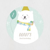 "Winter Fun" - Children's Birthday Party Stickers in Mint by Creo Study - Front