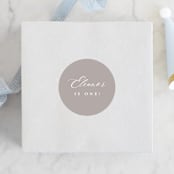 "Join in the fun!" - Children's Birthday Party Stickers in Cloud by Hudson meet Rose - Front