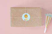 "dundee" - Children's Birthday Party Stickers in Ice by chocomocacino - Front