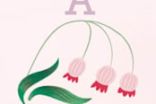 "Number One Bug" - Children's Birthday Party Stickers in Jade by Eve Schultz - In Use