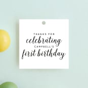 "Let's Celebrate a Birthday" - Children's Birthday Party Favor Tags in Sugar by Christine Taylor - Front