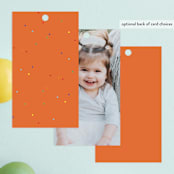 "1st Fiesta" - Children's Birthday Party Favor Tags in Spicy by Itsy Belle Studio - Back of Card Options