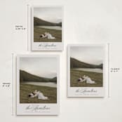 "Feature" - Holiday Cards in Mist by Nicole Walsh - Formats Available