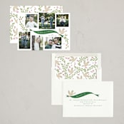 "Let there be peace" - Holiday Cards in Balsam Fir by Corinne Malesic - Assembled
