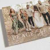 "Elegantly" - Holiday Cards in Snow by Everett Paper Goods - Detail
