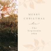 "Branching Out" - Holiday Cards in Vanilla by Olivia Raufman - Detail