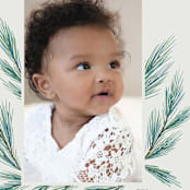 "Pine Wisps" - Holiday Cards in Teal by Kimberly Morgan - Detail