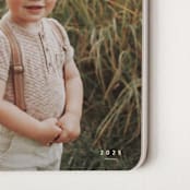 "Wonder" - Calendars in Cotton by Sara Hicks Malone - Detail