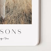 "Cresida" - Calendars in Eclipse by Olivia Raufman - Detail