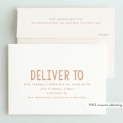 "Bday Twins" - Children's Birthday Party Invitations in Creamsicle by Baumbirdy - FREE Recipient Addressing