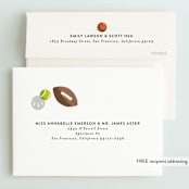 "Have a ball" - Children's Birthday Party Invitations in Fudge by Alethea and Ruth - FREE Recipient Addressing