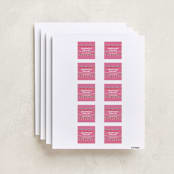 "Friendship Era" - Custom Name Labels in Peony by Pixel and Hank - Full Sheet