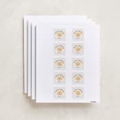 "Paper Circus" - Custom Name Labels in Natural by Olivia Raufman - Full Sheet
