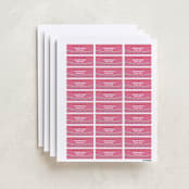 "Friendship Era" - Custom Name Labels in Peony by Pixel and Hank - Full Sheet