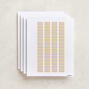 "Augusta" - Custom Name Labels in Melon by Megan Davis - Full Sheet