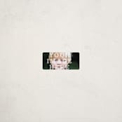 "The Big Picture" - Custom Name Labels in Ivory by Minted - Front